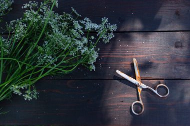 Yaz bahçesinde yaz sebzeleri ve otlar