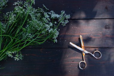 Yaz bahçesinde yaz sebzeleri ve otlar