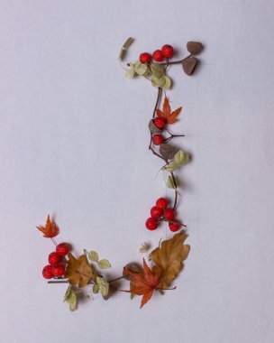 Beyaz arka planda sonbahar yapraklarından Latin alfabe harfleri