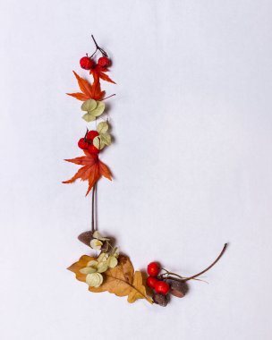 Beyaz arka planda sonbahar yapraklarından Latin alfabe harfleri