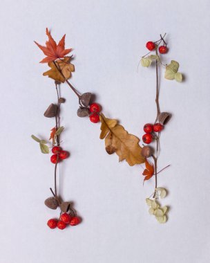 Beyaz arka planda sonbahar yapraklarından Latin alfabe harfleri