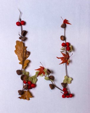 Botanik harfler sonbahar alfabesi 