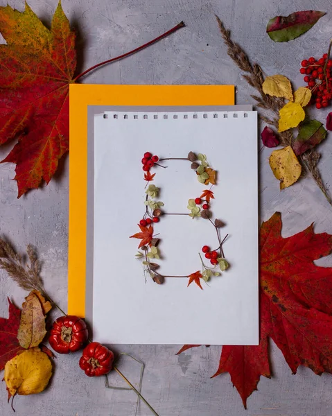 Latin alphabet letters from autumn leaves on a white background