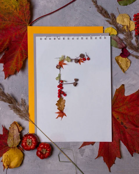 Latin alphabet letters from autumn leaves on a white background