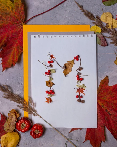 Latin alphabet letters from autumn leaves on a white background