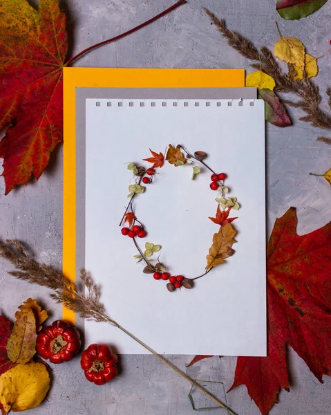 Latin alphabet letters from autumn leaves on a white background