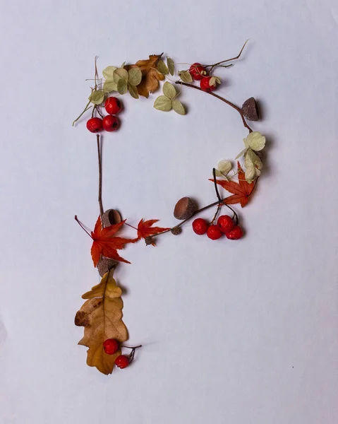 Latin alphabet letters from autumn leaves on a white background