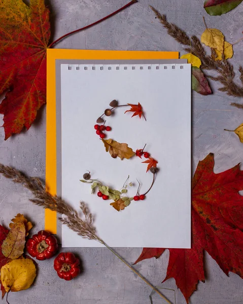 Latin alphabet letters from autumn leaves on a white background