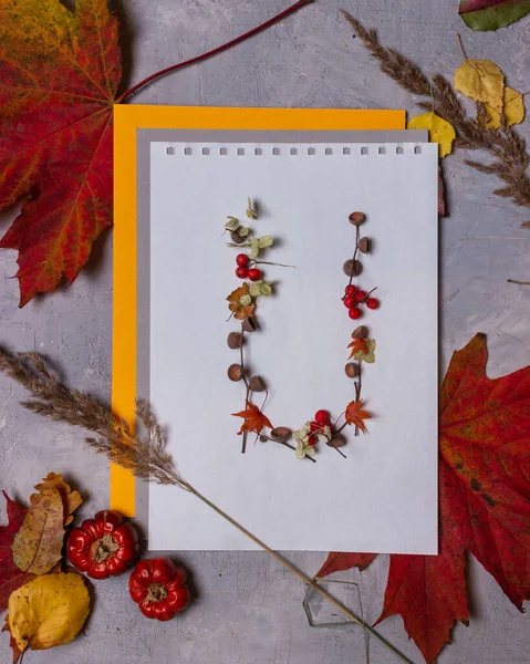 Latin alphabet letters from autumn leaves on a white background