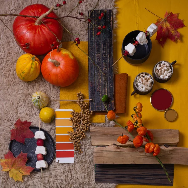 Jesień Paleta Kolorów Dla Projektowania Wystroju — Zdjęcie stockowe