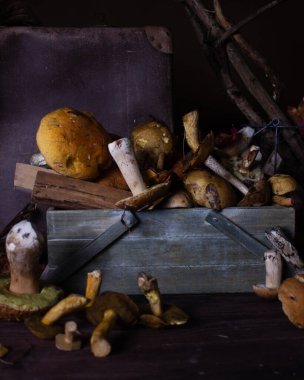 Masanın üzerinde farklı türde yabani mantarlar uzanıyor.