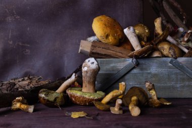 Masanın üzerinde farklı türde yabani mantarlar uzanıyor.