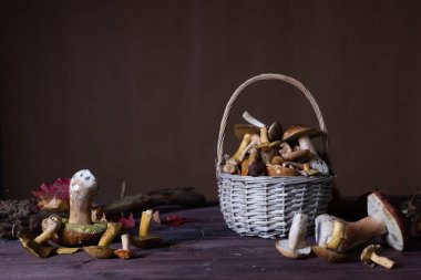 Masanın üzerinde farklı türde yabani mantarlar uzanıyor.