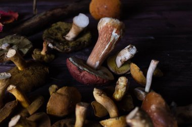 Masanın üzerinde farklı türde yabani mantarlar uzanıyor.