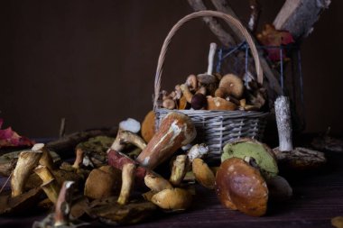 Masanın üzerinde farklı türde yabani mantarlar uzanıyor.