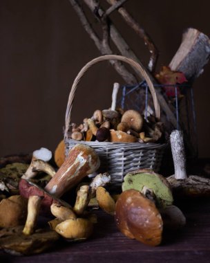 Masanın üzerinde farklı türde yabani mantarlar uzanıyor.