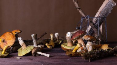 Masanın üzerinde farklı türde yabani mantarlar uzanıyor.