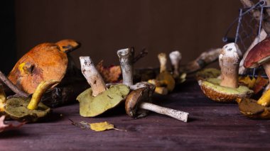 Masanın üzerinde farklı türde yabani mantarlar uzanıyor.