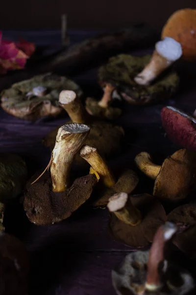 Different Kinds Wild Mushrooms Lie Table Dark Background — Stock Photo, Image