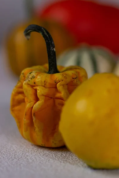 Bodegón Otoño Con Calabazas Naranjas Sobre Fondo Oscuro Halloween —  Fotos de Stock