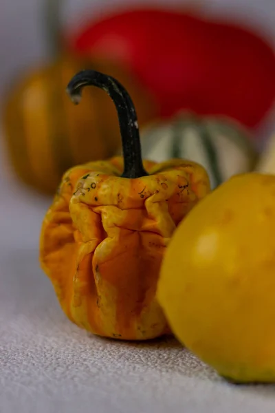 Bodegón Otoño Con Calabazas Naranjas Sobre Fondo Oscuro Halloween —  Fotos de Stock