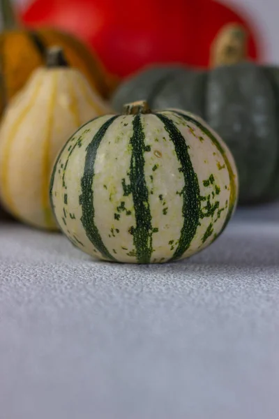 Bodegón Otoño Con Calabazas Naranjas Sobre Fondo Oscuro Halloween —  Fotos de Stock