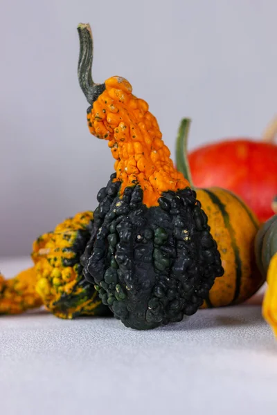 Bodegón Otoño Con Calabazas Naranjas Sobre Fondo Oscuro Halloween —  Fotos de Stock