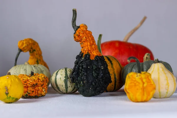 Bodegón Otoño Con Calabazas Naranjas Sobre Fondo Oscuro Halloween —  Fotos de Stock