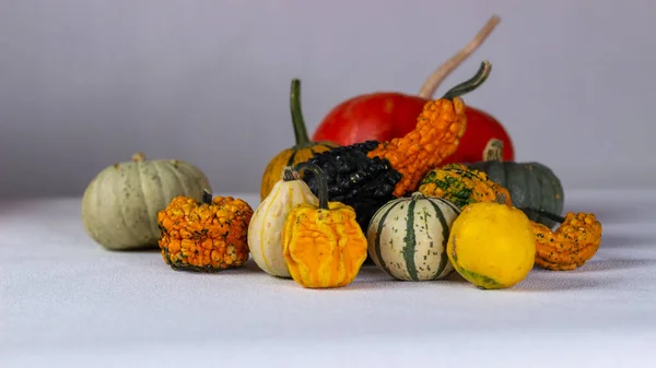 Bodegón Otoño Con Calabazas Naranjas Sobre Fondo Oscuro Halloween —  Fotos de Stock