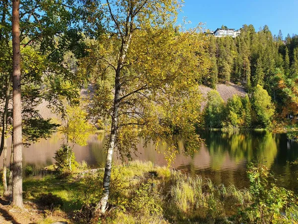 Reflexão Árvores Água Lago Strmsdammen — Fotografia de Stock