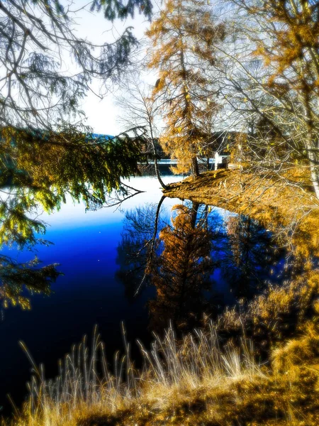 Reflexão Árvores Água Azul Bogstad Grd — Fotografia de Stock