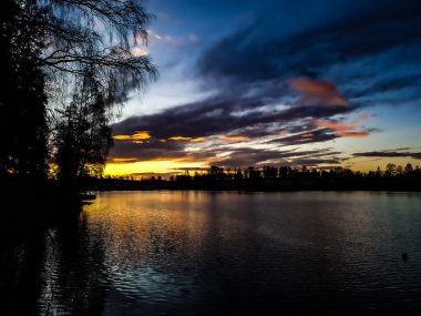Güneşin doğuşuna karşı ağaç silueti - Bogstad Grd