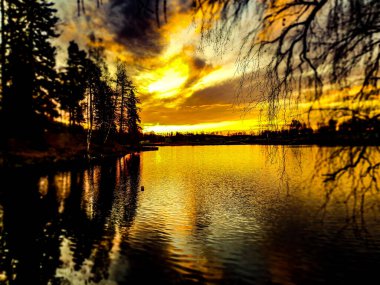Güneşin doğuşuna karşı ağaç silueti - Bogstad Grd