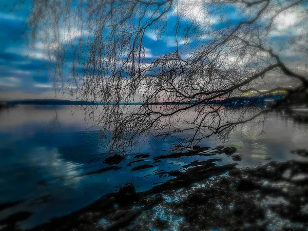 Mavi gökyüzüne ve suya karşı dalların silueti - Lysaker