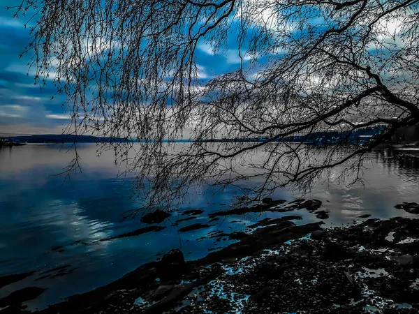 Silueta Stromu Proti Obloze Vodě Lysaker — Stock fotografie