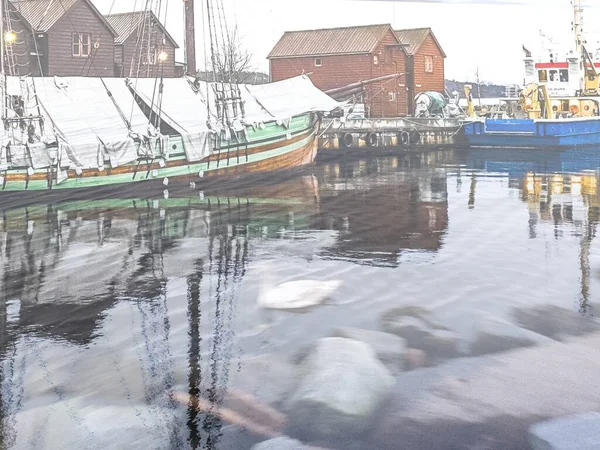 Cygne Blanc Nageant Dans Eau Lysaker — Photo