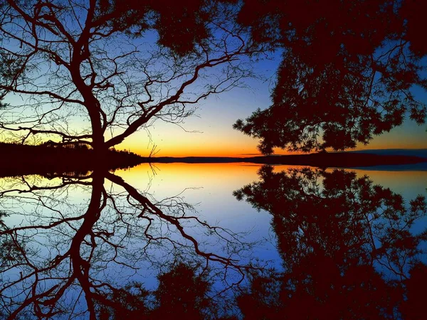 Árbol Contra Telón Fondo Del Sol Naciente Lysaker — Foto de Stock