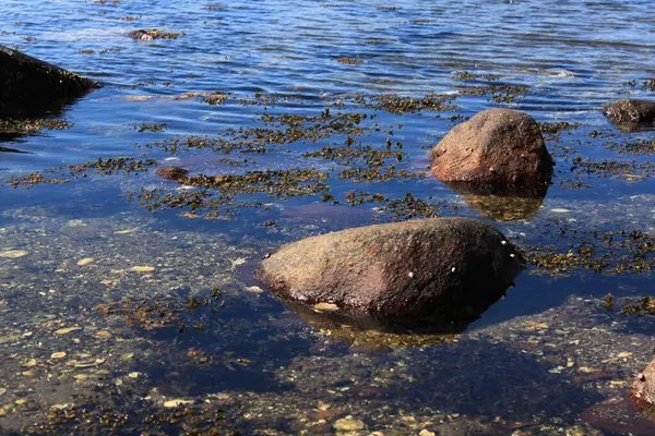 Piedras Grandes Orilla Del Mar Hvaler — Foto de Stock