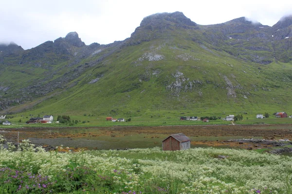 Dorp Vallei Selfjord — Stockfoto