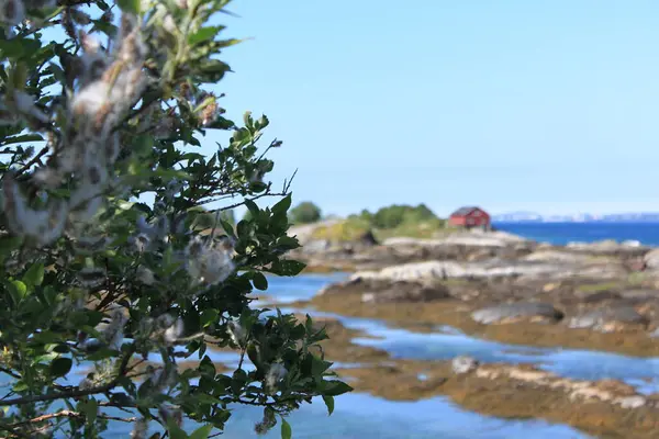 Ein Schwaches Rotes Haus Der Ferne Saltstraumen — Stockfoto