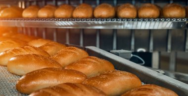 Taşıyıcı bantlı bir somun ile fırın ürünleri üretimi için otomatik hat, bir şekerleme fabrikasının atölyesinde ekipman, endüstriyel gıda üretimi. Fırında üretim fırını..