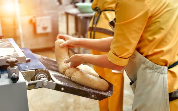 Bread bakery food factory production with fresh products. Automated production of bakery products. Baker man working at bread production line.