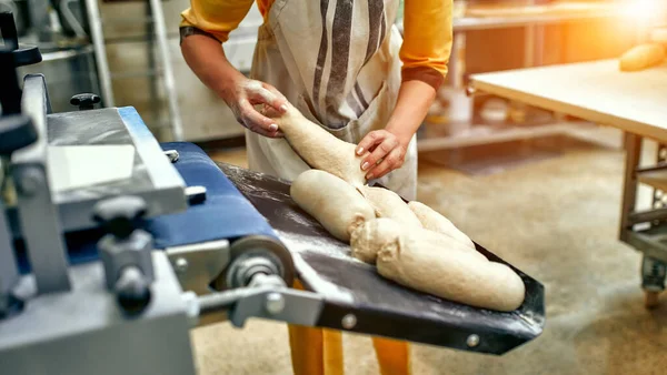 Bread bakery food factory production with fresh products. Automated production of bakery products. Baker man working at bread production line.