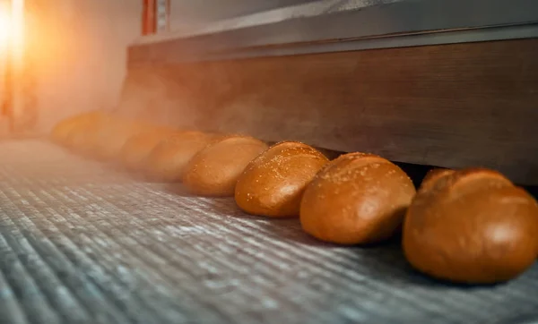 Automatic line for the production of bakery products with a loaf on a conveyor belt, equipment in the workshop of a confectionery factory, industrial food production. Production oven at the bakery.