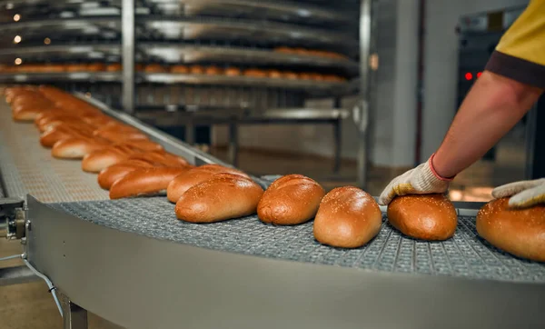 Pão Padaria Fábrica Alimentos Produção Com Produtos Frescos Produção Automatizada — Fotografia de Stock