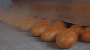 Taşıyıcı bantlı bir somun ile fırın ürünleri üretimi için otomatik hat, bir şekerleme fabrikasının atölyesinde ekipman, endüstriyel gıda üretimi. Fırında üretim fırını..