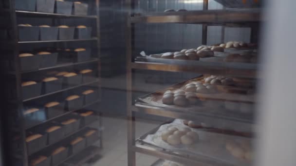 Brood op de planken wordt klaargemaakt voor het bakken in de oven. Productie van bakkerijproducten. Broodbakkerij. — Stockvideo