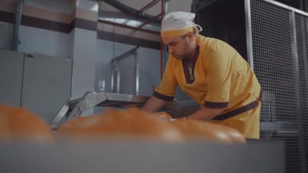 Παραγωγή αρτοποιίας ψωμιού με φρέσκα προϊόντα. Αυτοματοποιημένη παραγωγή προϊόντων αρτοποιίας. αρτοποιός που εργάζεται στη γραμμή παραγωγής ψωμιού. — Αρχείο Βίντεο