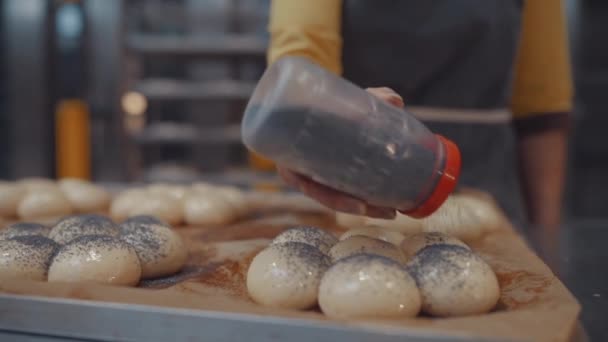 O padeiro polvilha sementes de papoila sobre os pães para posterior cozimento. Produção automatizada de produtos de padaria. — Vídeo de Stock