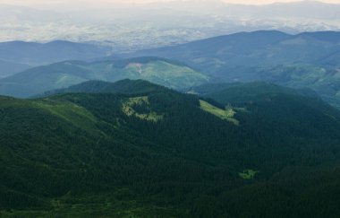 Orman. Yeşil dağ orman manzarası. Dağ orman. Fantastik orman manzara. Dağ orman bulutlar manzara içinde. Sisli orman. Dağ orman manzarası. Karanlık ormanda haze manzara.